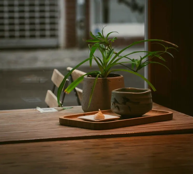 The Ritual of Tea: A Sensory Practice in Three Steps — Pin this for later