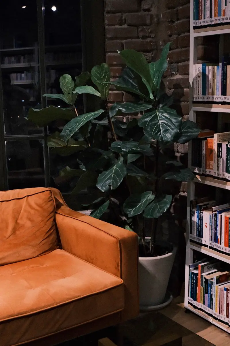How to Create a Phone-Free Corner at Home — Pin this for later